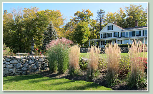 Fall Grass